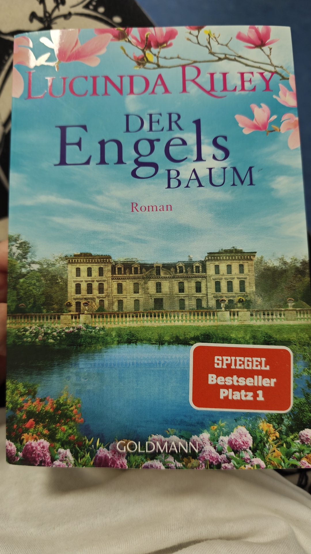 Zwei Zeitebenen
Familien Geheimnisse
Liebe und Verlust
Verlorene Erinnerungen