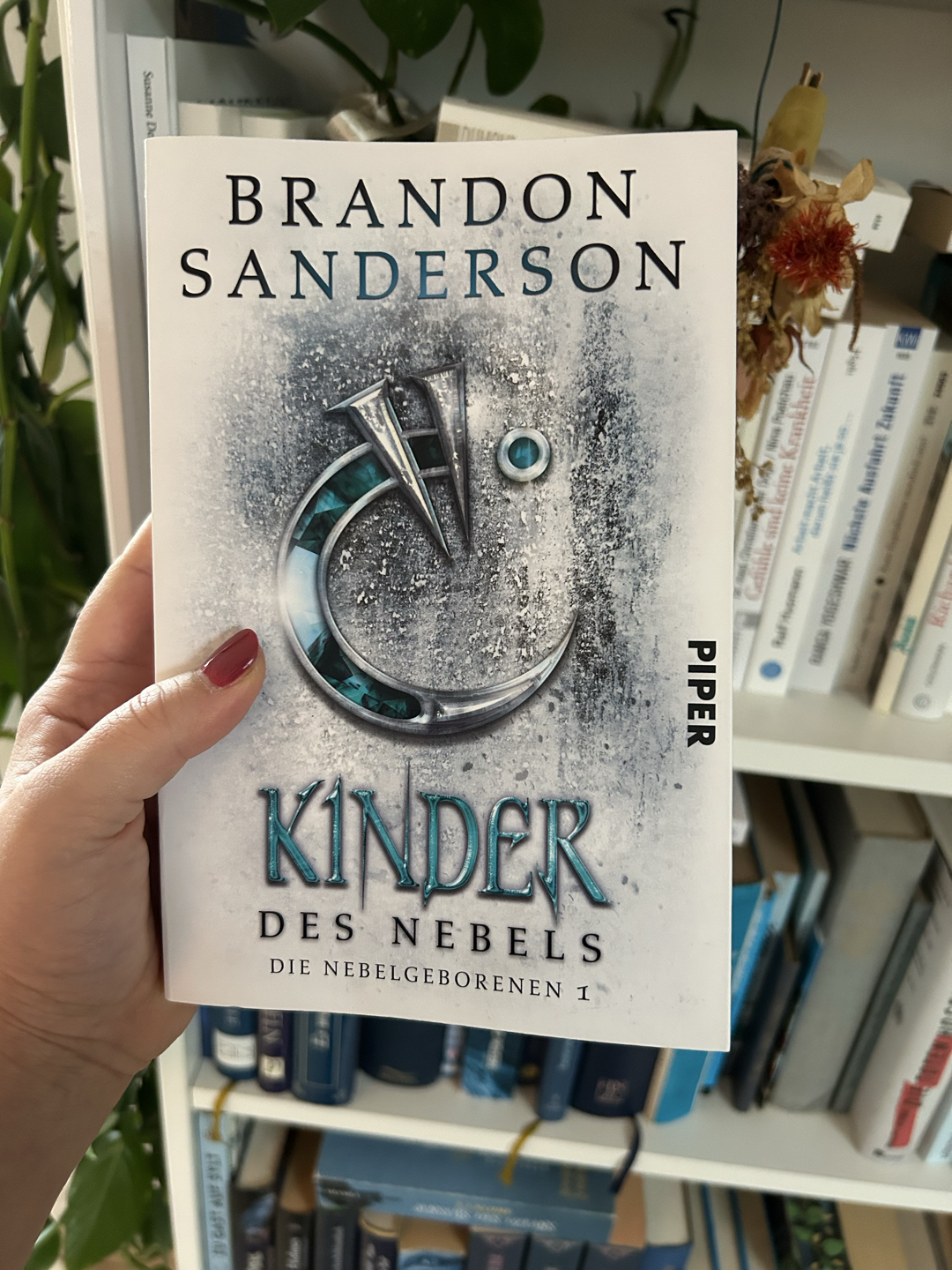 Einstieg in den Brandon Sanderson Kosmos 😶🌫️