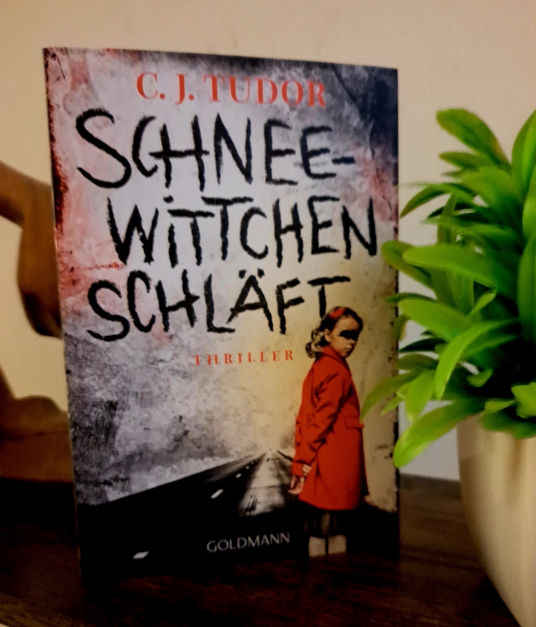 Ein etwas mystisches Buch. Mit der Auflösung hab ich nicht gerechnet...
