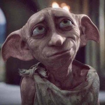 dobbylein's profile
