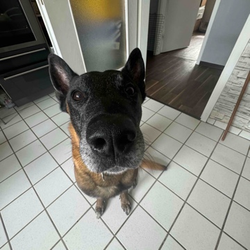 mel_s's profile