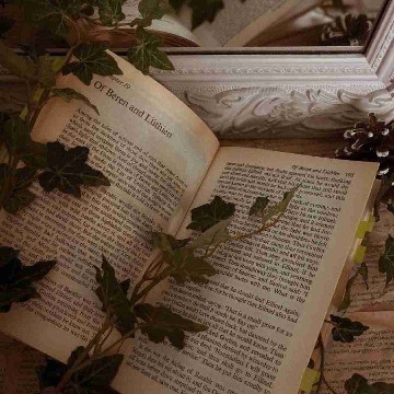 mylittlebookshelf's profile