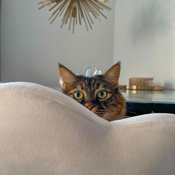 masalsbuecher's profile