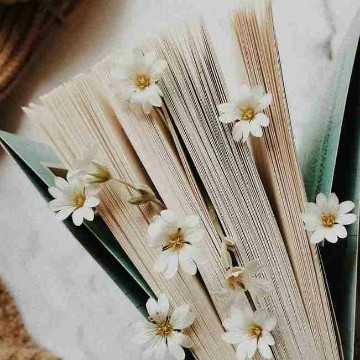 lovleybook's profile