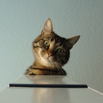 kasimir's profile