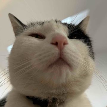 m3m3's profile