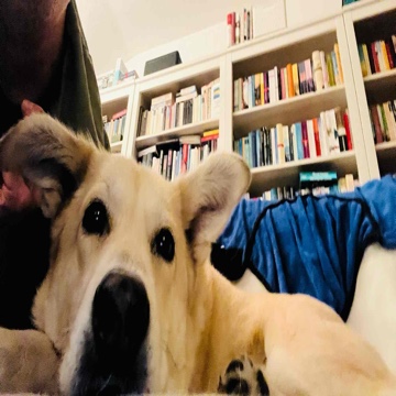 richbooks's profile