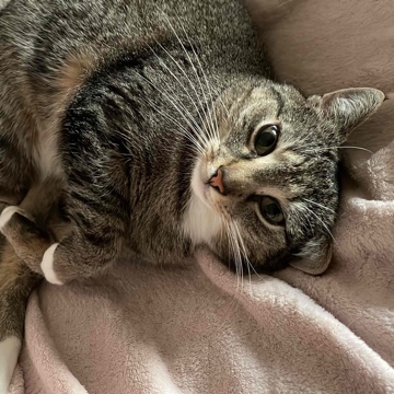 unsereschoenstenmomente's profile