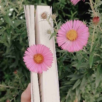 books_leonie's profile