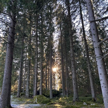 herbstundschnee's profile