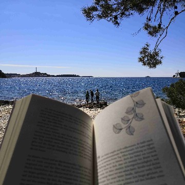 vktr.books's profile