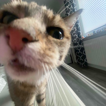 defn0t.m4y's profile