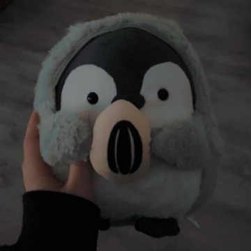 xnvle's profile