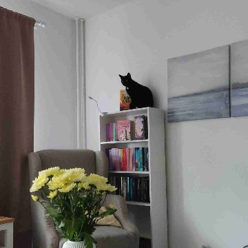 monas_booknook's profile