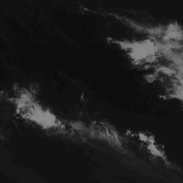 everyday_kiwii's profile