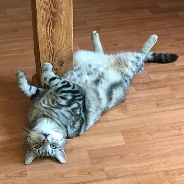 kasimir_kater's profile