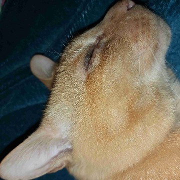 hanni68's profile