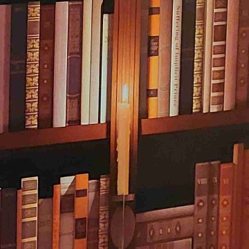 semis_secret_bookshelf's profile