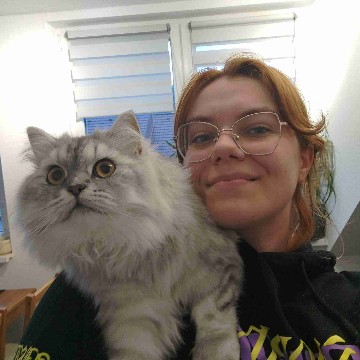 bumblebeestories's profile