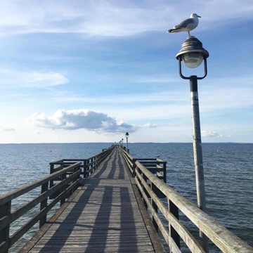 elisa_liest's profile