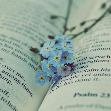 fantasy_lover's profile