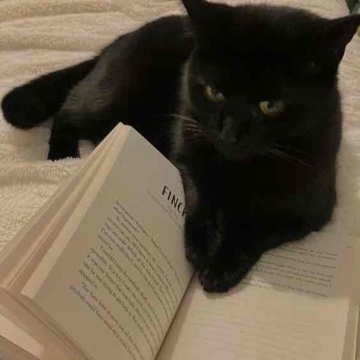 literarymedicine's profile