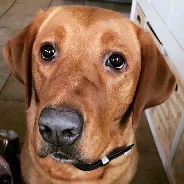 capydaadi's profile