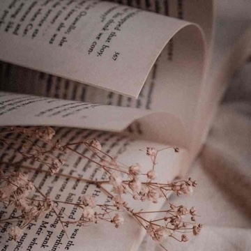 flying.through.pages's profile