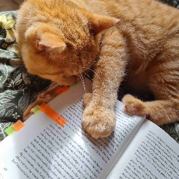 my_cozy_book_page's profile
