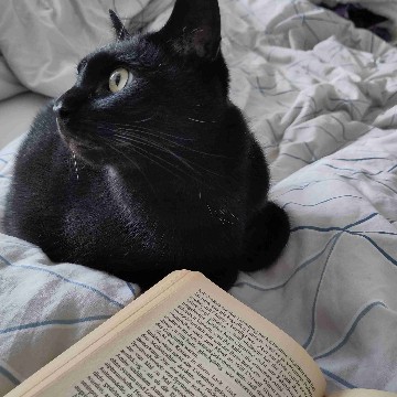 woelfchen's profile