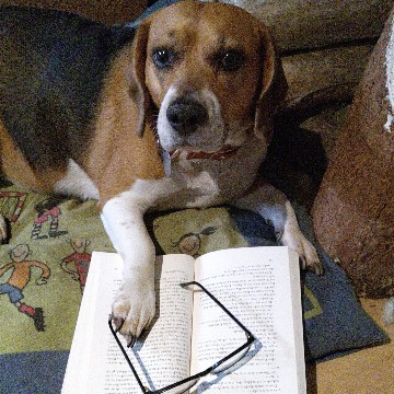 beagline's profile