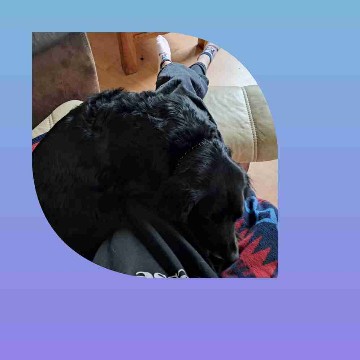 ann_i's profile