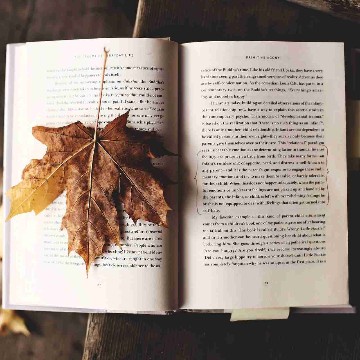 reading_and_flowers83's profile