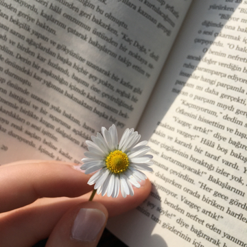 nazli_016's profile