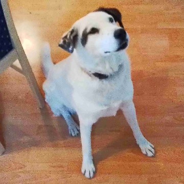 littlegirl6's profile
