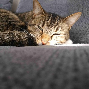 ella.30.7's profile