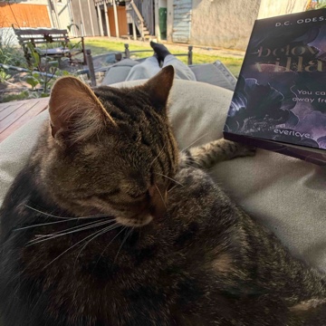 katzenfrau