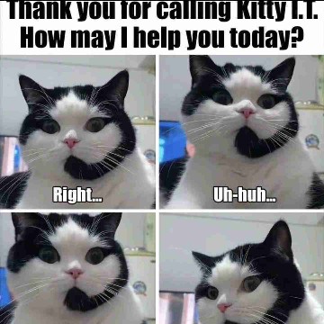 kitty0's profile