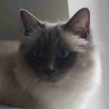 mikky's profile