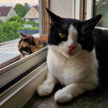 sabsgrafie's profile