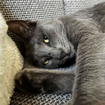 resiread's profile