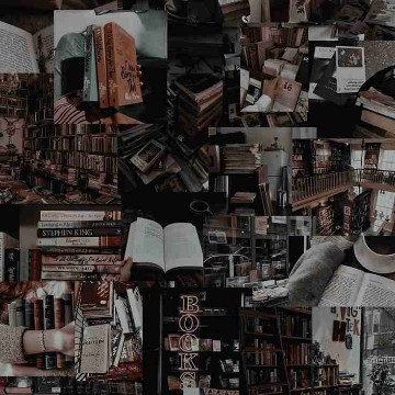 ani.books's profile