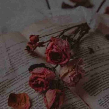 story.lover's profile
