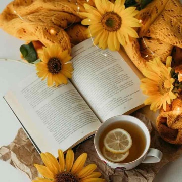 bookgirllove's profile