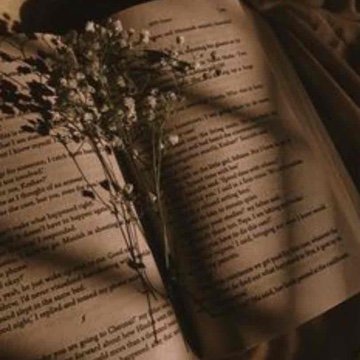 jolina.books's profile