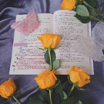 sirinreads's profile