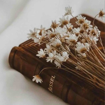 mysmallbookworld's profile