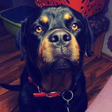 vicki's profile