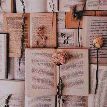 skyeereading's profile