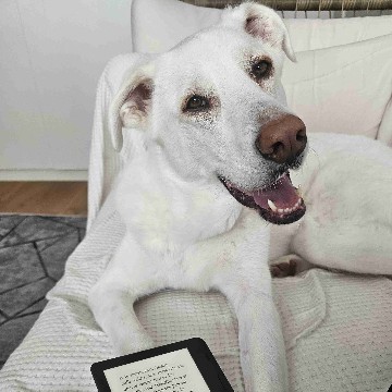 bookaddict_sylvia's profile